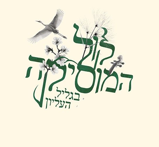 פסטיבל קול המוסיקה בגליל העליון